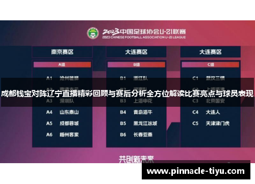 成都钱宝对阵辽宁直播精彩回顾与赛后分析全方位解读比赛亮点与球员表现